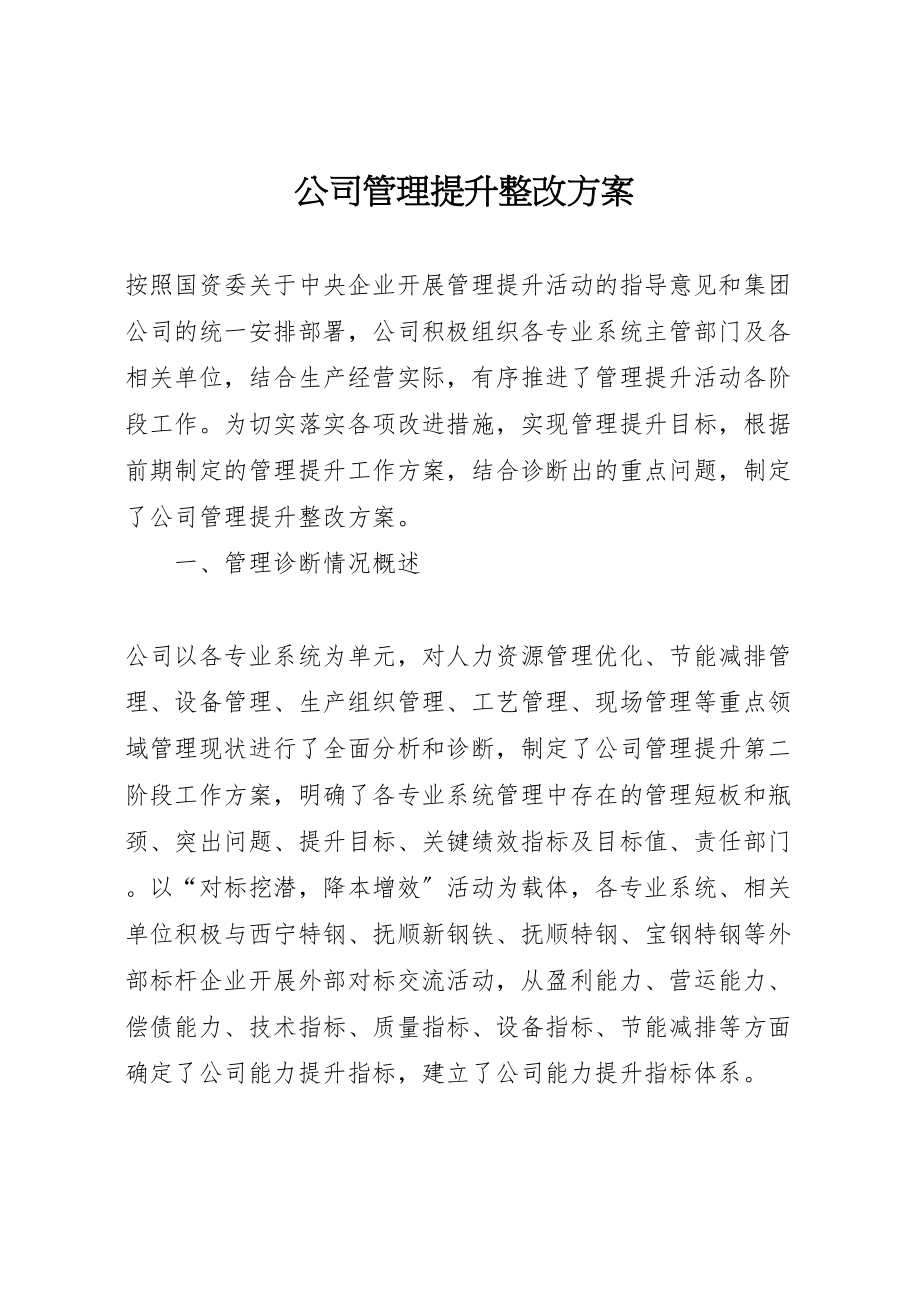 2023年公司管理提升整改方案.doc_第1页