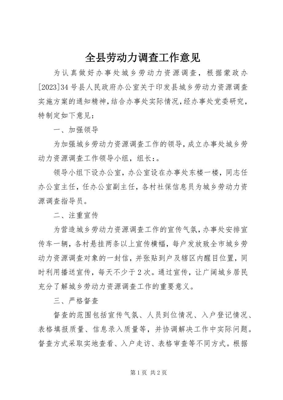 2023年全县劳动力调查工作意见.docx_第1页