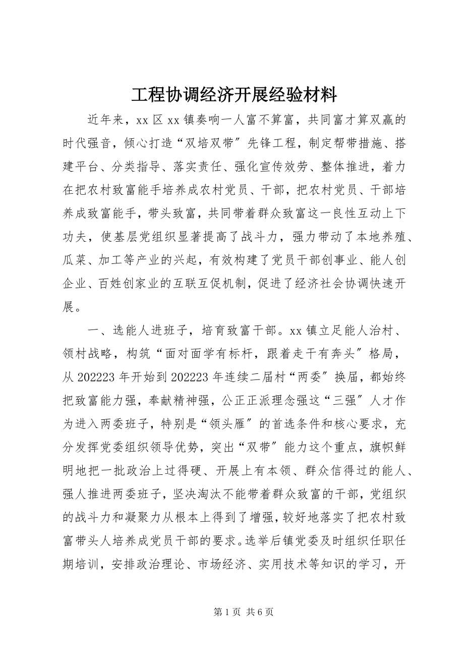 2023年工程协调经济发展经验材料.docx_第1页