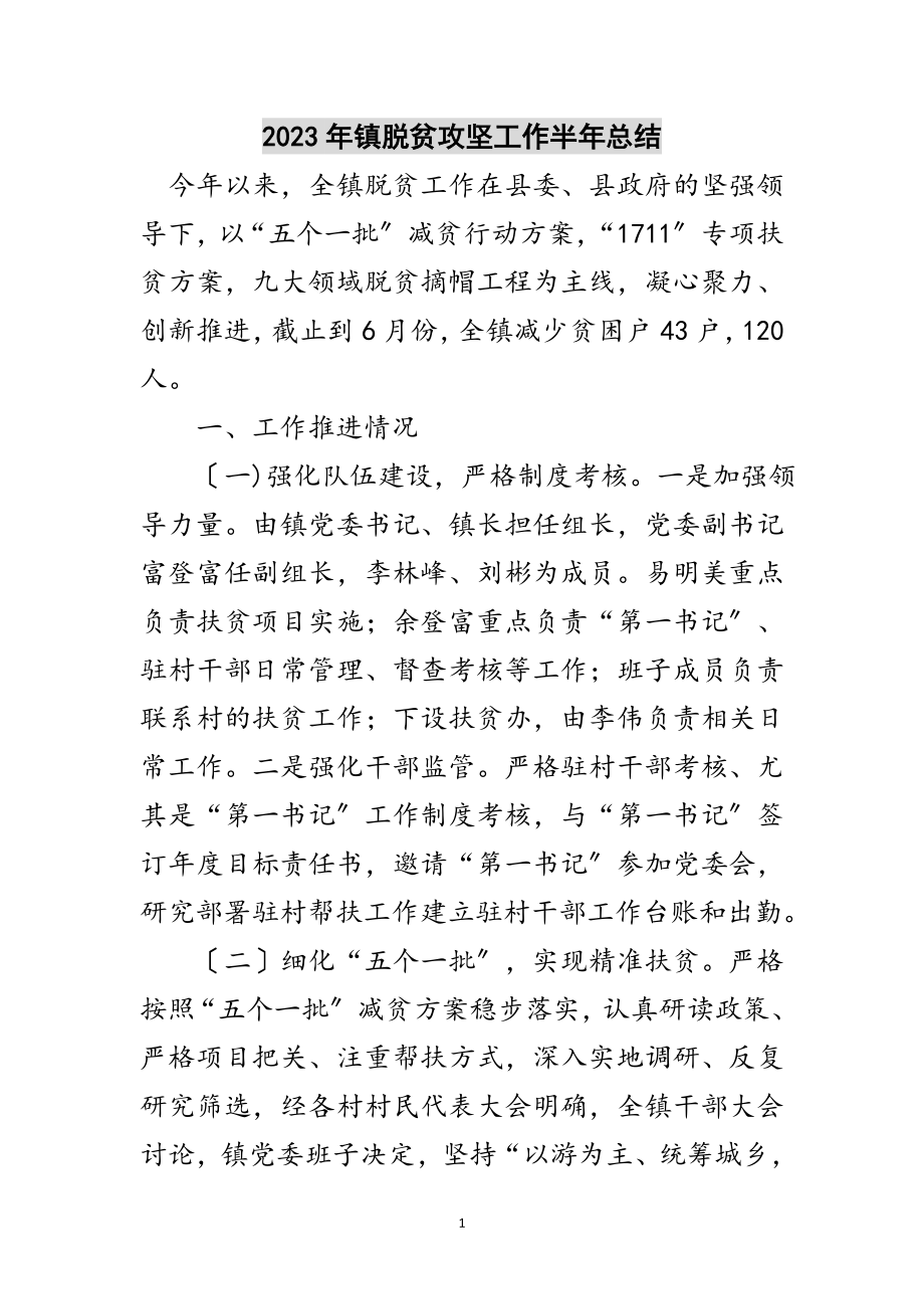 2023年年镇脱贫攻坚工作半年总结范文.doc_第1页