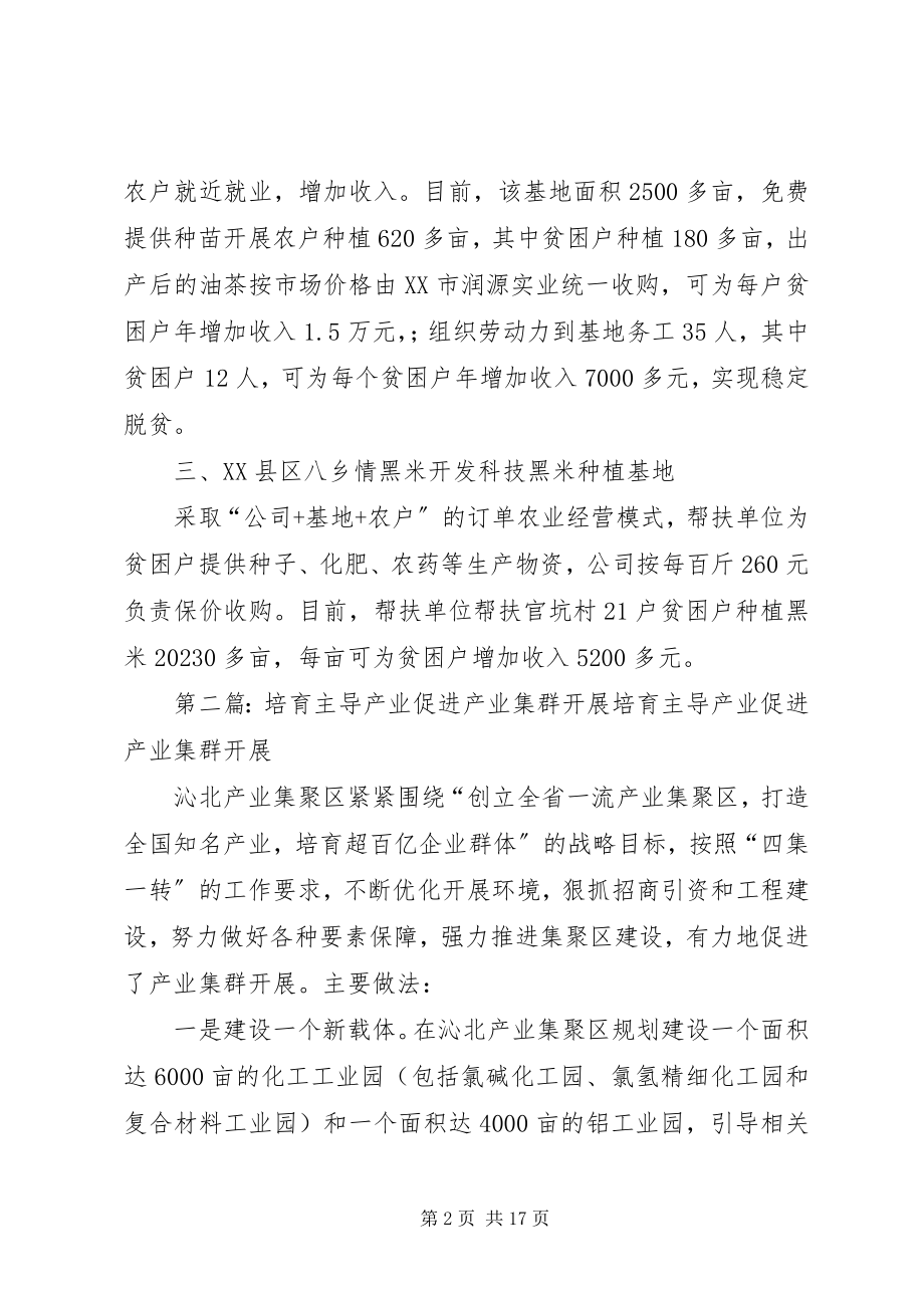 2023年发展主导产业实施产业帮扶优秀五篇.docx_第2页