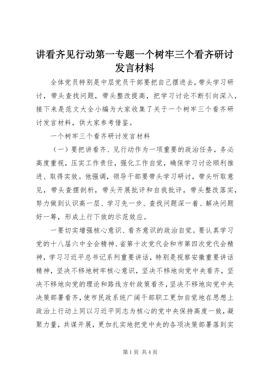 2023年讲看齐见行动第一专题一个树牢三个看齐研讨讲话材料.docx_第1页