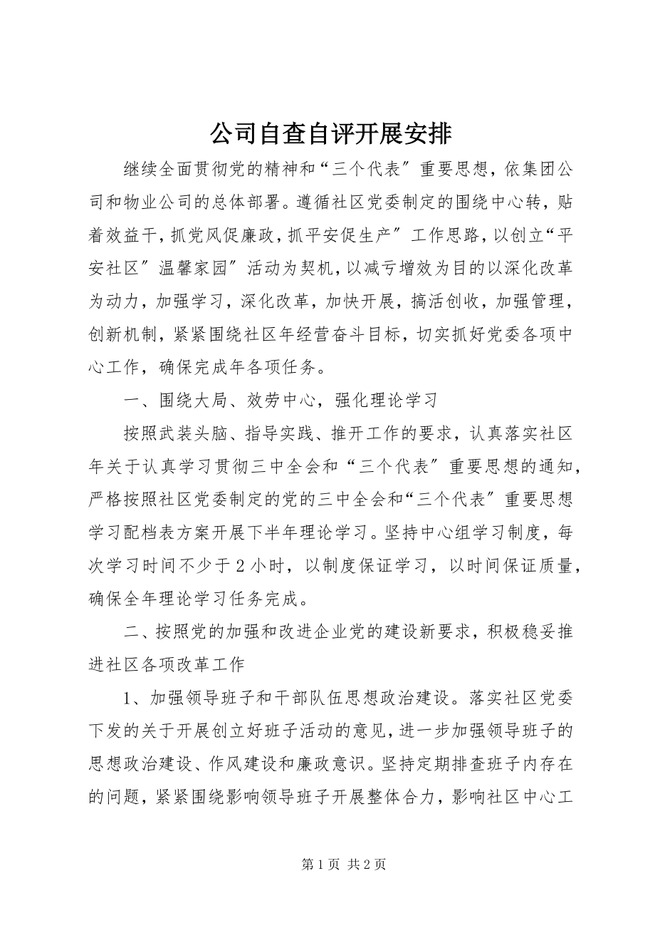 2023年公司自查自评发展安排.docx_第1页