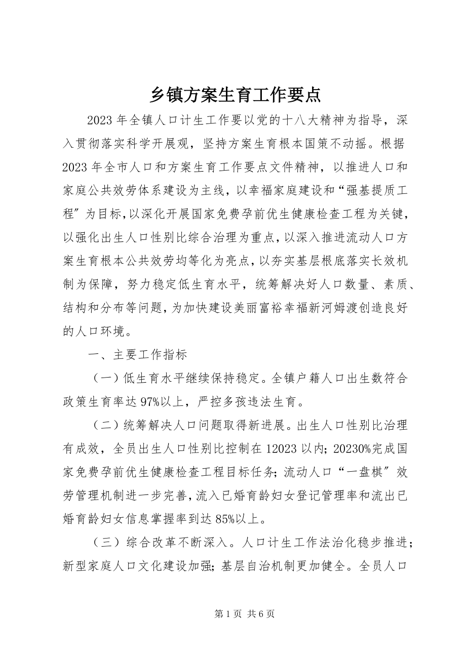 2023年乡镇计划生育工作要点.docx_第1页