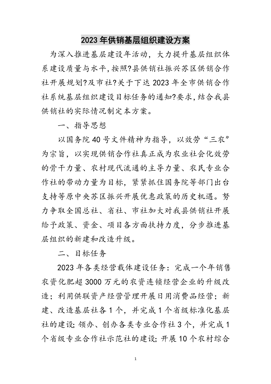 2023年年供销基层组织建设方案范文.doc_第1页