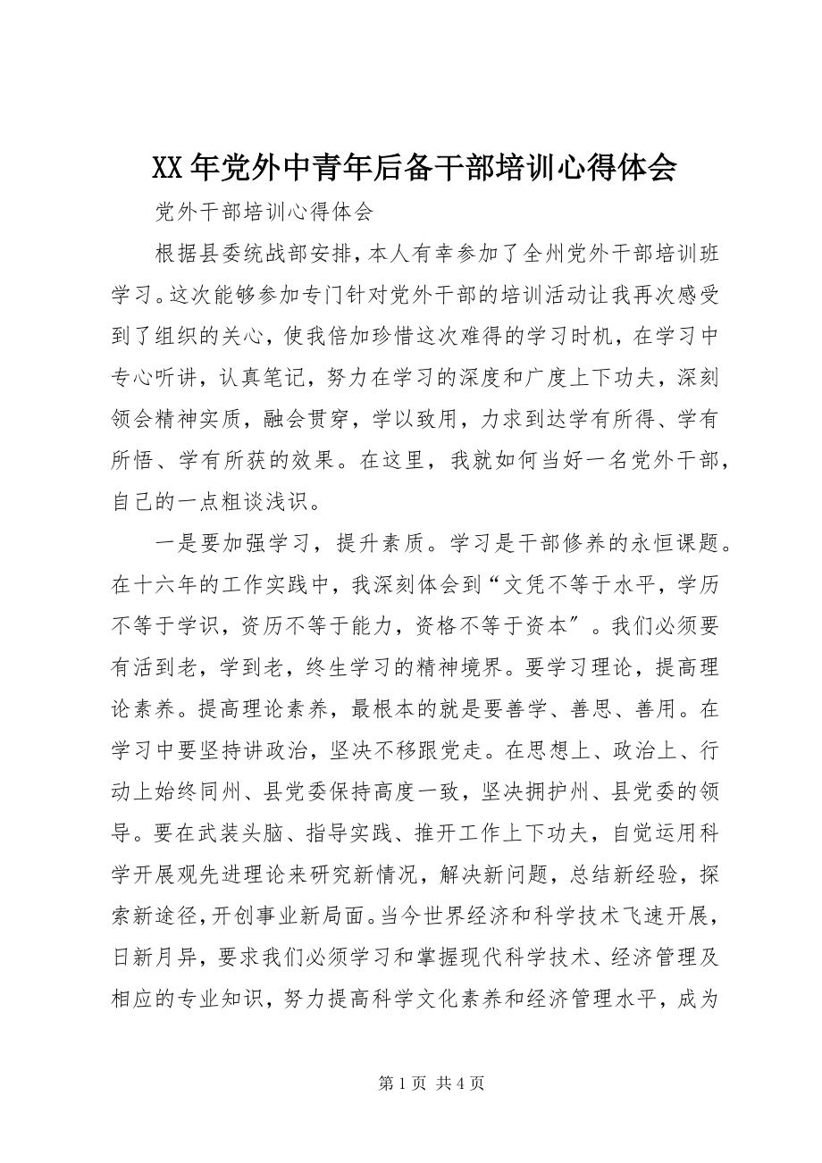 2023年党外中青后备干部培训心得体会.docx_第1页