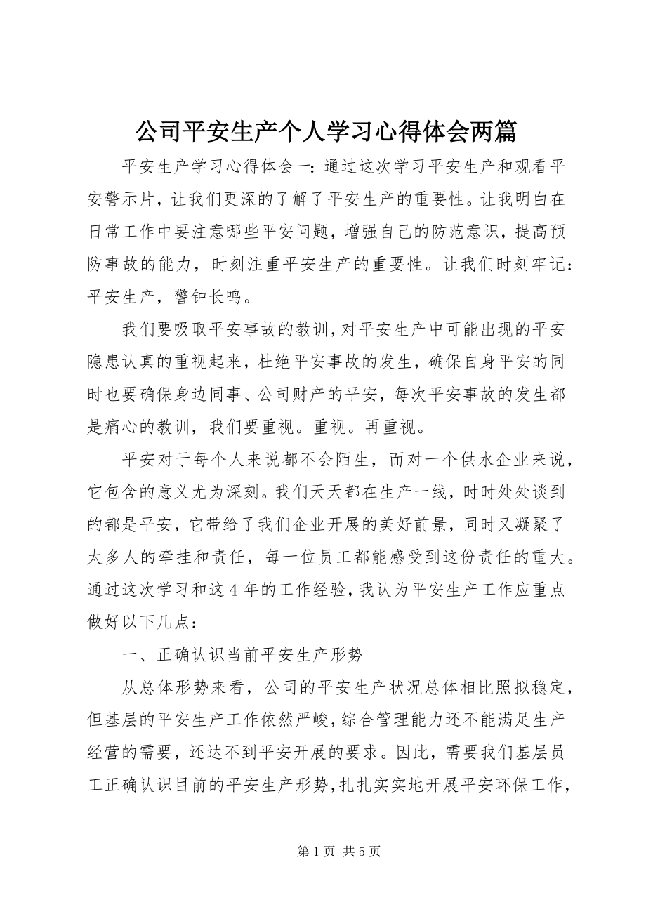 2023年公司安全生产个人学习心得体会两篇.docx_第1页