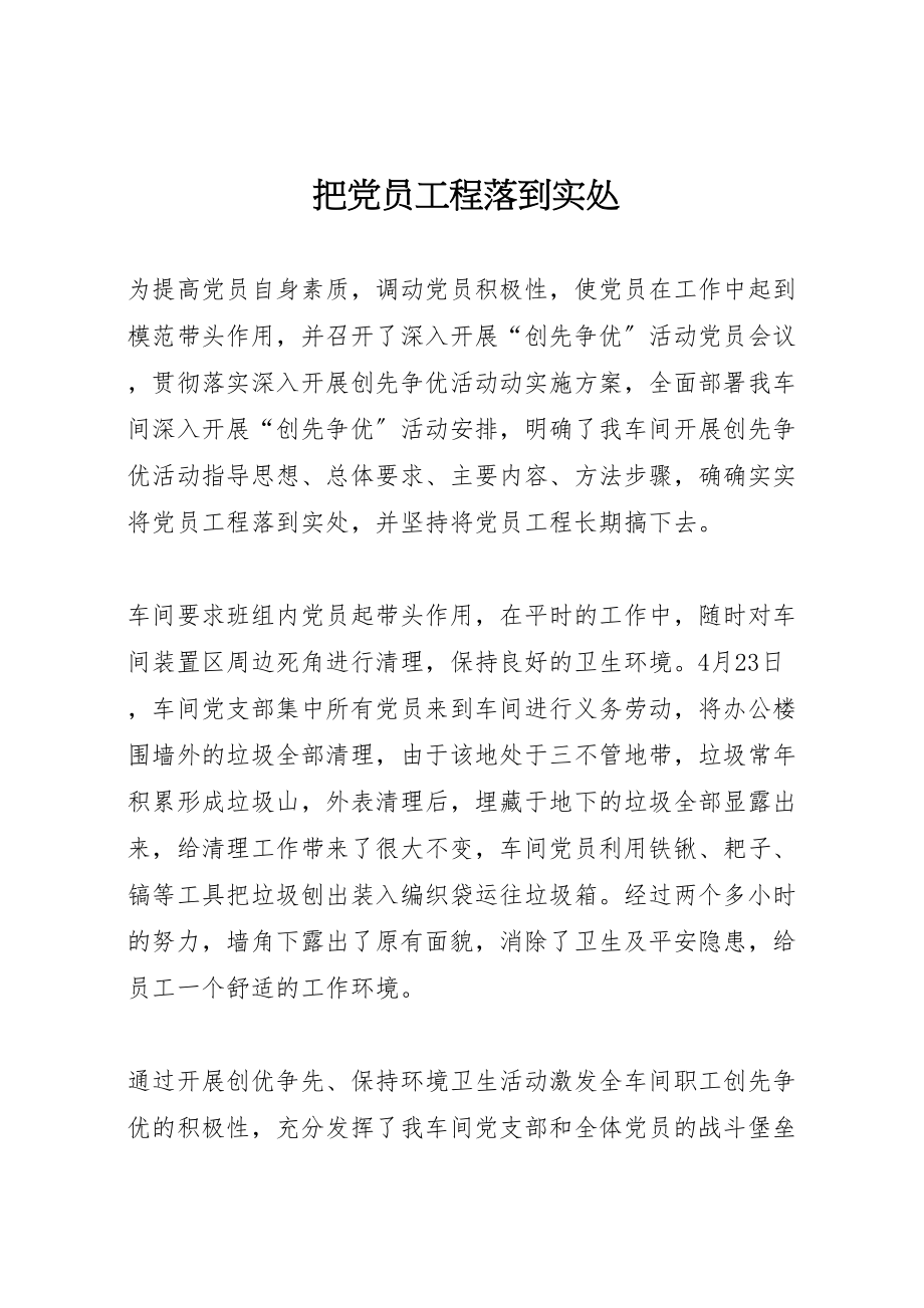 2023年把党员工程落到实处.doc_第1页