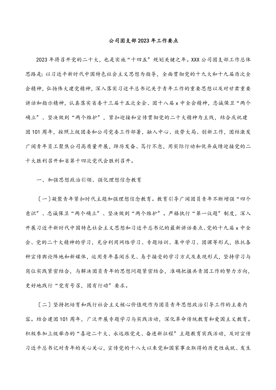 公司团支部工作要点.docx_第1页