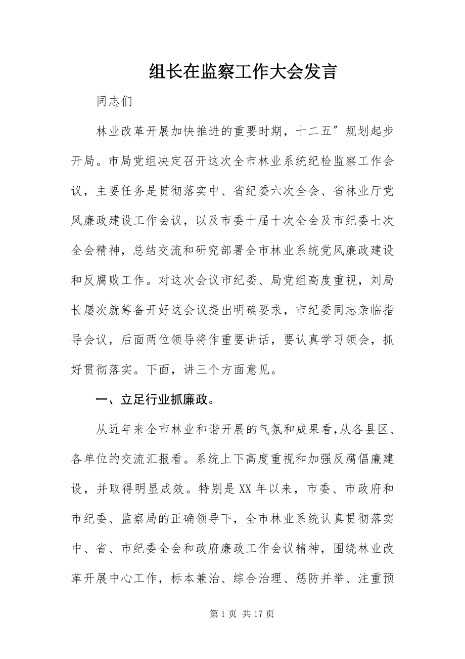 2023年组长在监察工作大会讲话.docx_第1页