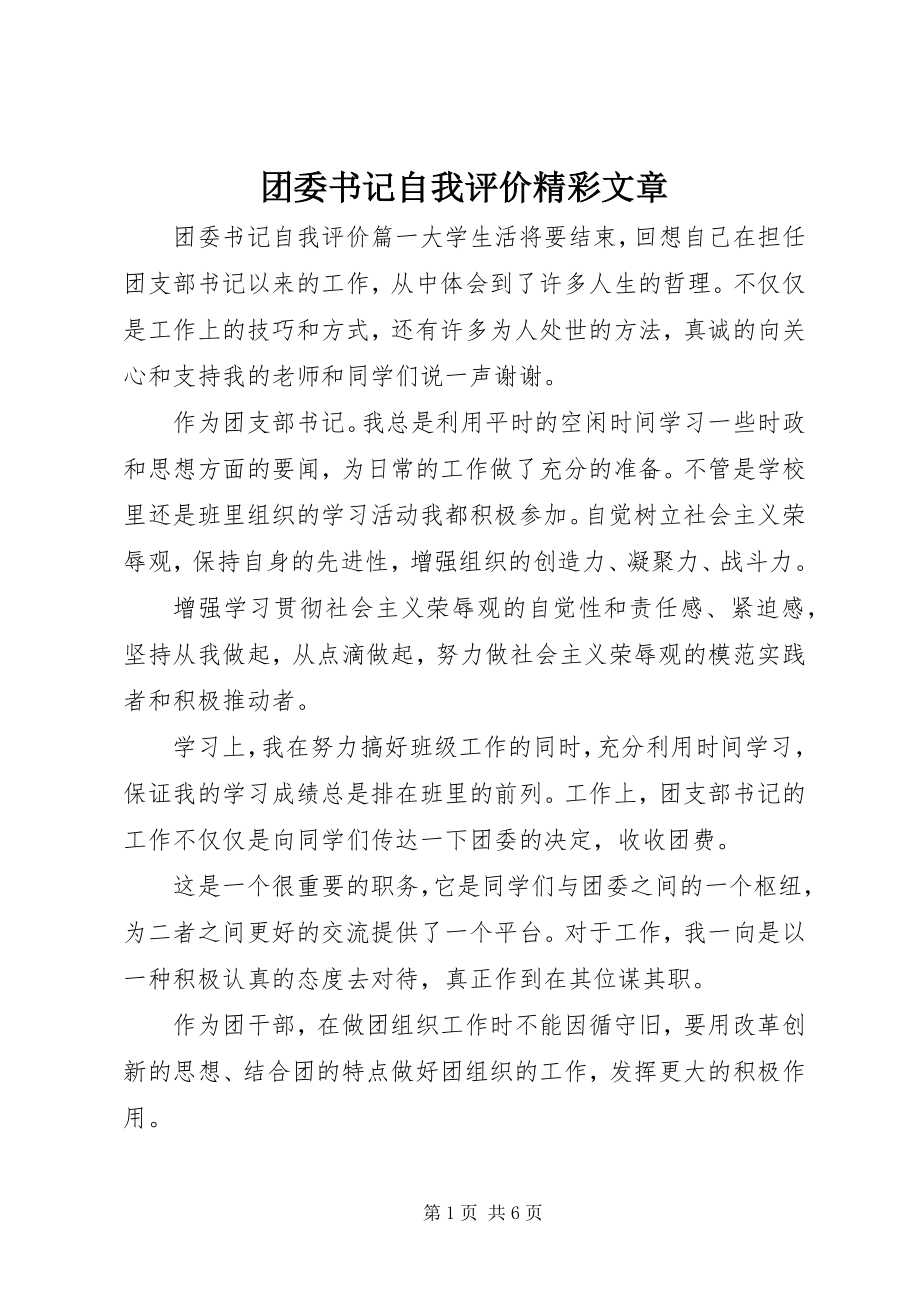 2023年团委书记自我评价精彩文章.docx_第1页