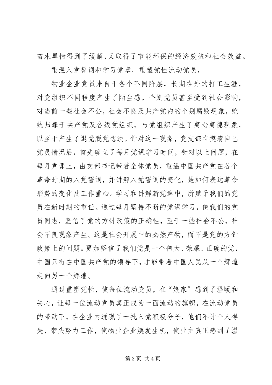 2023年党支部年终工作总结新编.docx_第3页