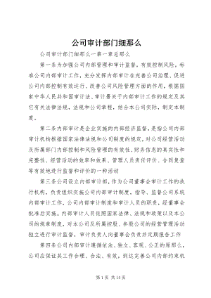 2023年公司审计部门细则.docx