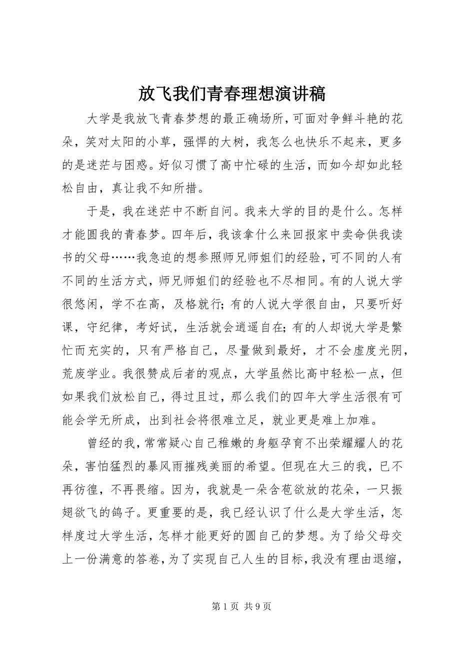 2023年放飞我们青春理想演讲稿.docx_第1页