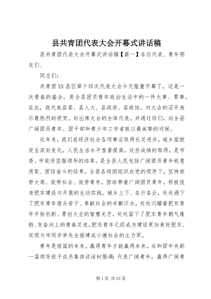 2023年县共青团代表大会开幕式致辞稿.docx