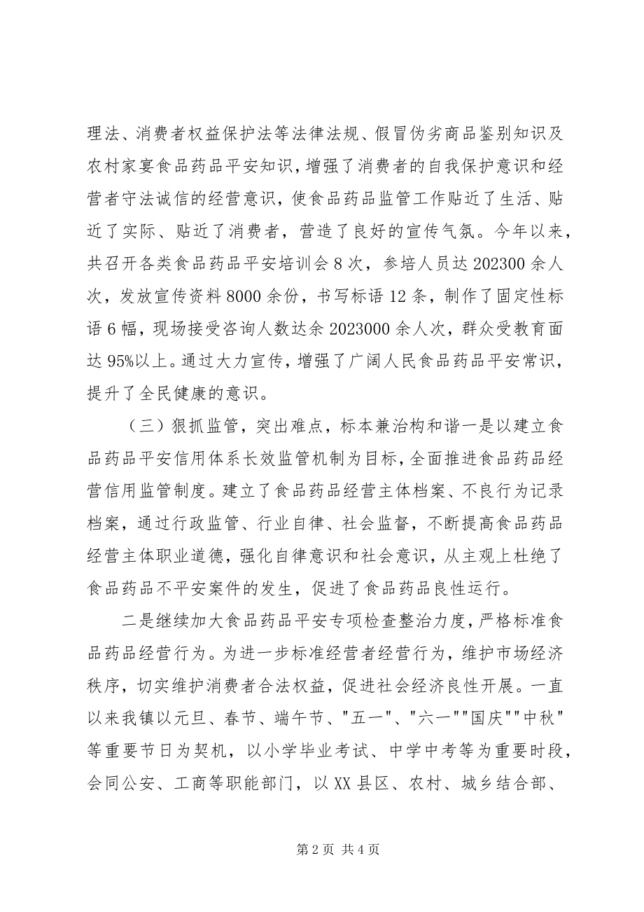 2023年乡镇药监局开展安全生产大检查工作总结.docx_第2页