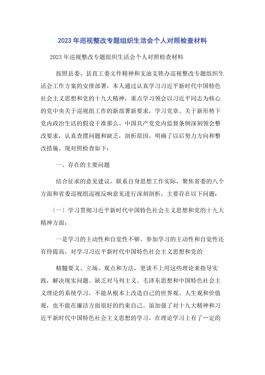 2023年巡视整改专题组织生活会个人对照检查材料.docx_第1页