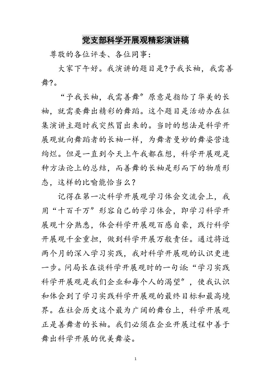 2023年党支部科学发展观精彩演讲稿范文.doc_第1页