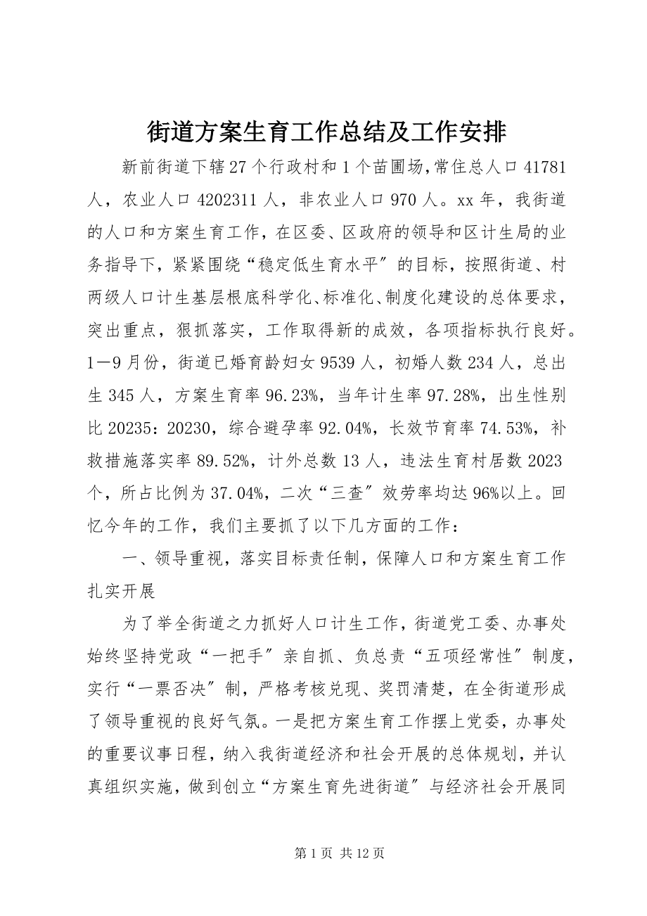 2023年街道计划生育工作总结及工作安排.docx_第1页