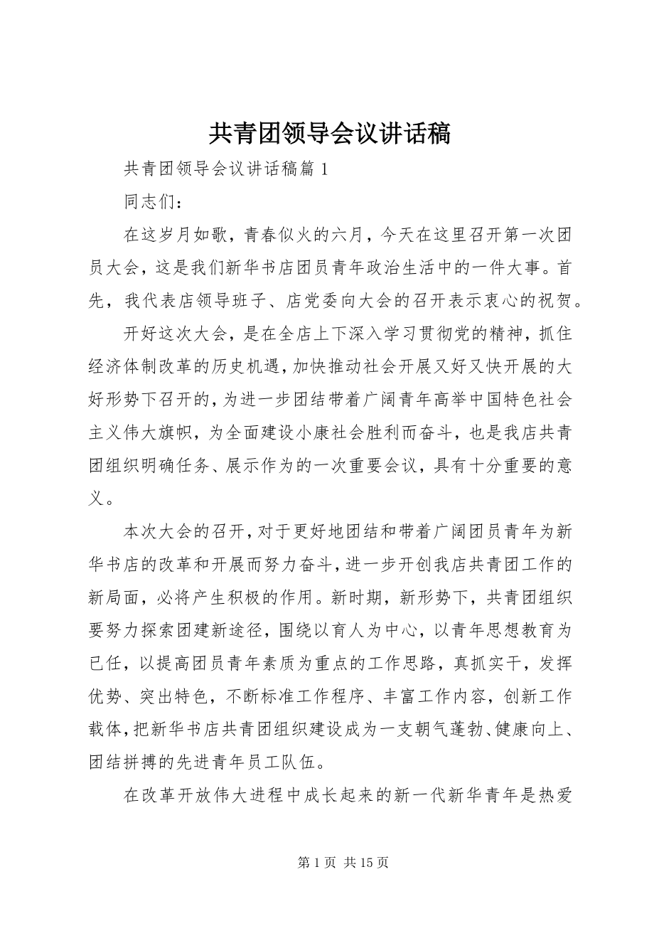 2023年共青团领导会议致辞稿.docx_第1页