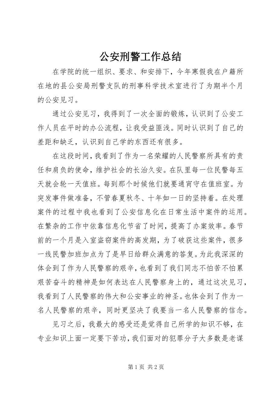 2023年公安刑警工作总结.docx_第1页