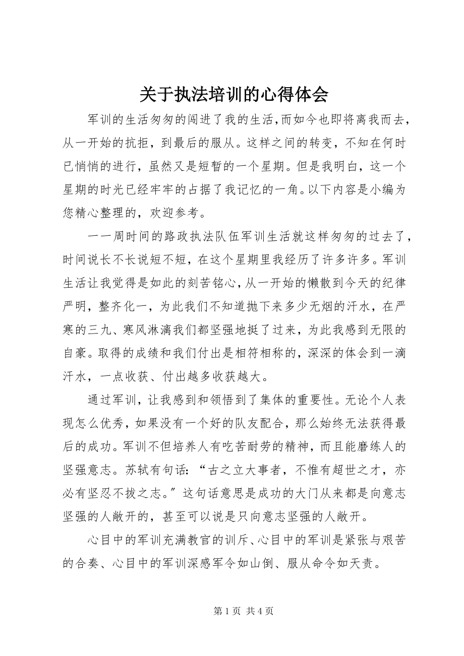 2023年执法培训的心得体会.docx_第1页