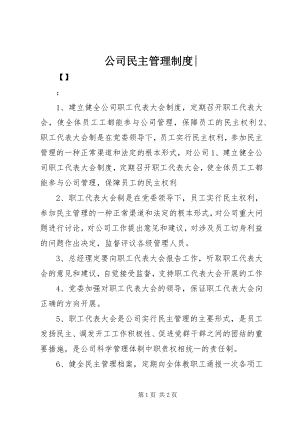 2023年公司民主管理制度2.docx