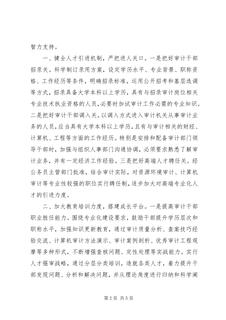 2023年建设高素质专业化审计队伍的思考与对策交流材料.docx_第2页