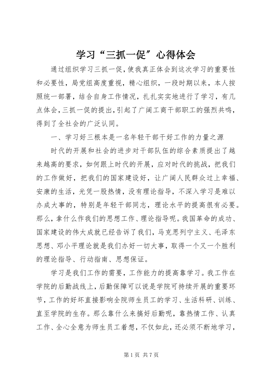 2023年学习“三抓一促”心得体会.docx_第1页