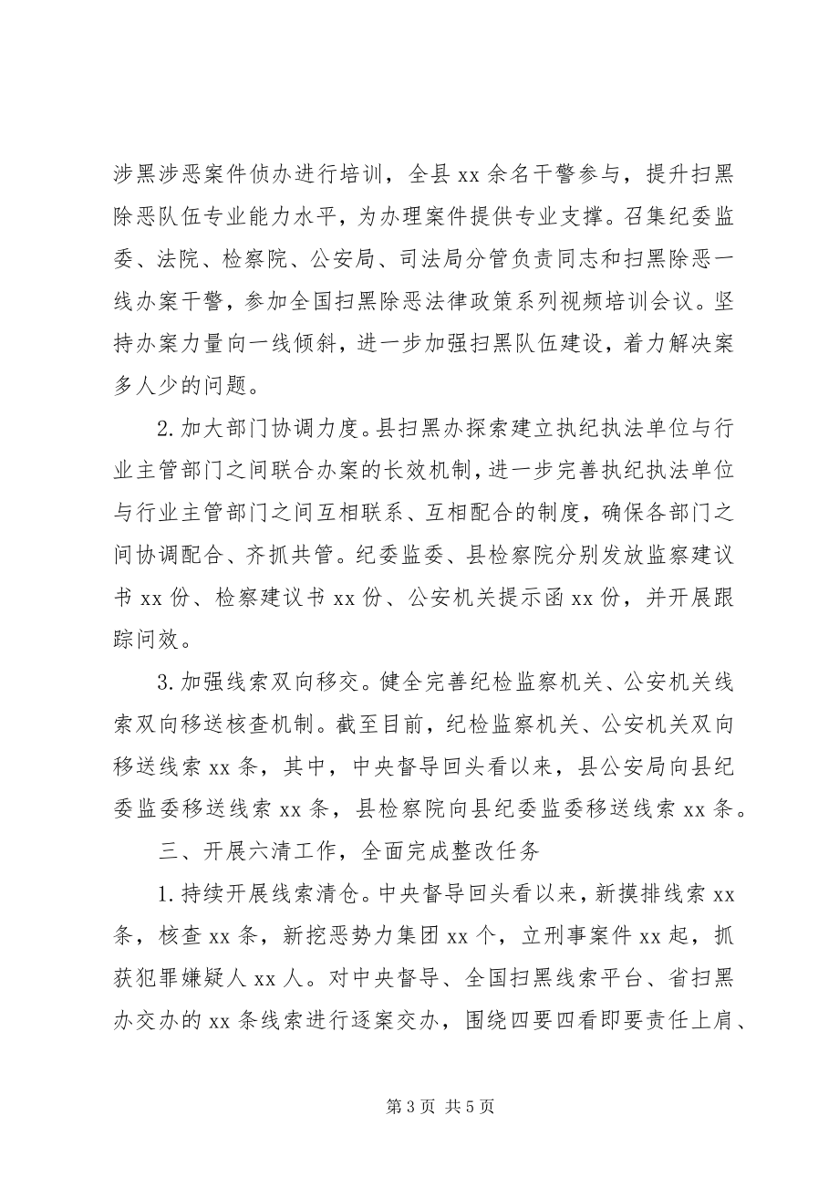 2023年县扫黑除恶专项斗争“六清”工作情况汇报.docx_第3页