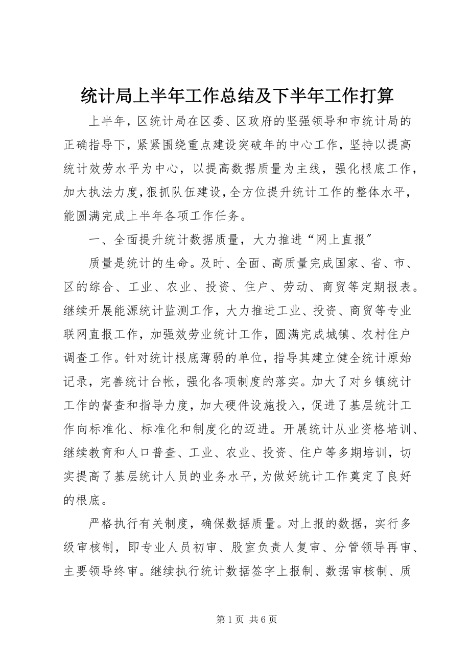 2023年统计局上半年工作总结及下半年工作打算.docx_第1页