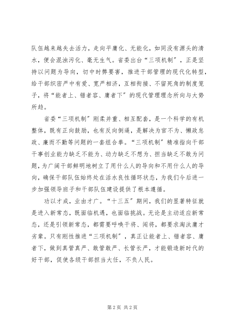 2023年三项机制剖析材料.docx_第2页