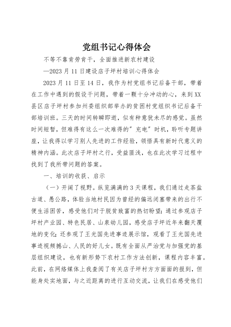 2023年党组书记心得体会.docx_第1页