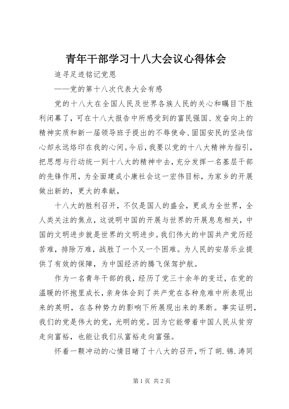 2023年青年干部学习十八大会议心得体会.docx_第1页