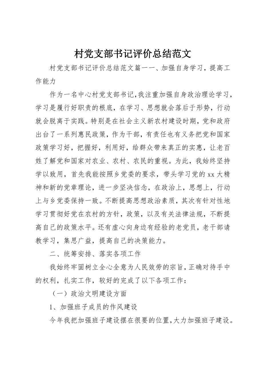 2023年村党支部书记评价总结2新编.docx_第1页