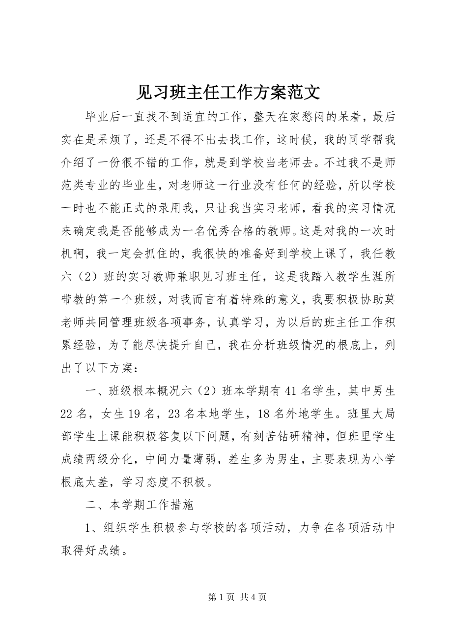 2023年见习班主任工作计划3.docx_第1页