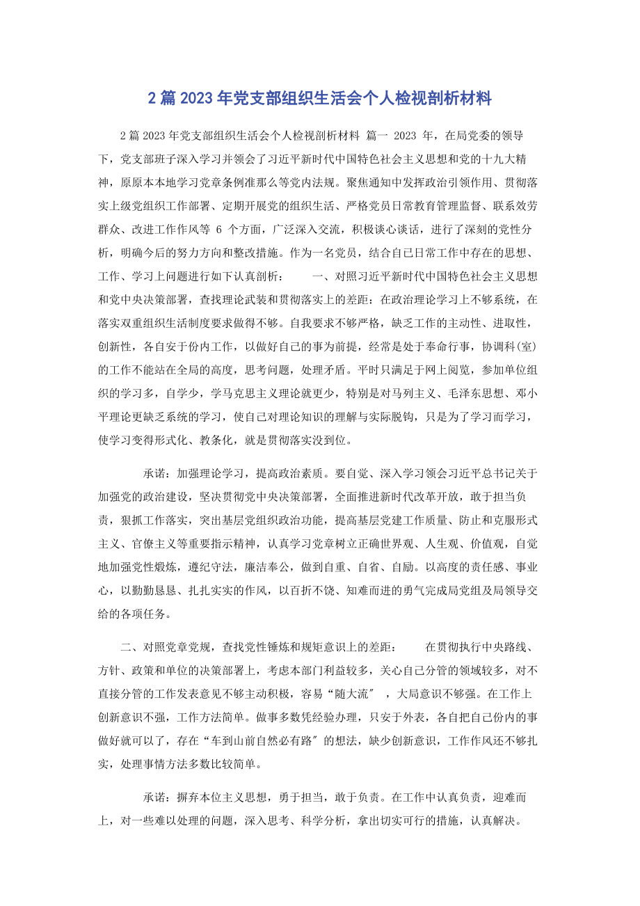 2023年党支部组织生活会个人检视剖析材料.docx_第1页