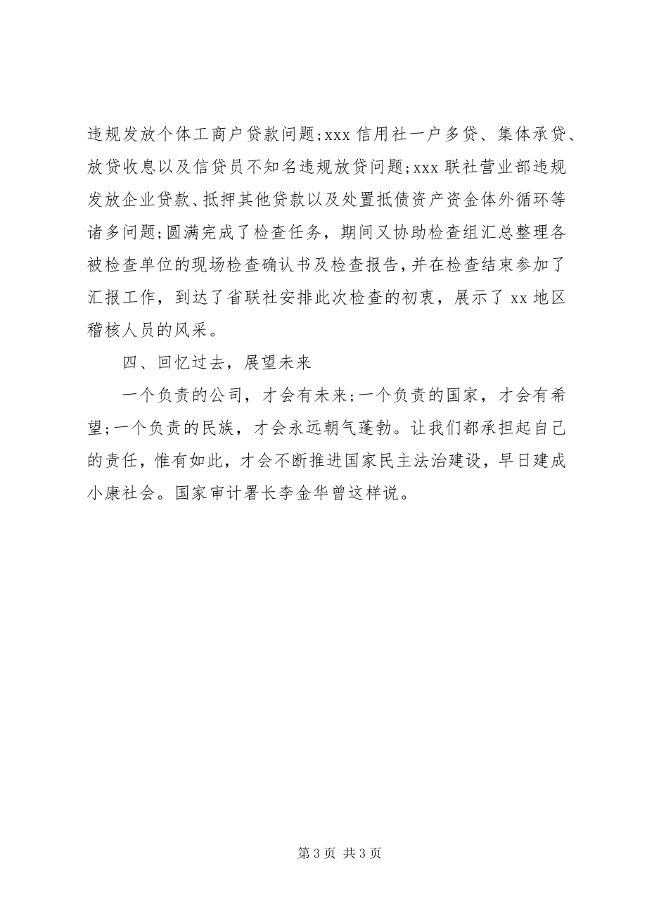 2023年稽核员终总结.docx_第3页