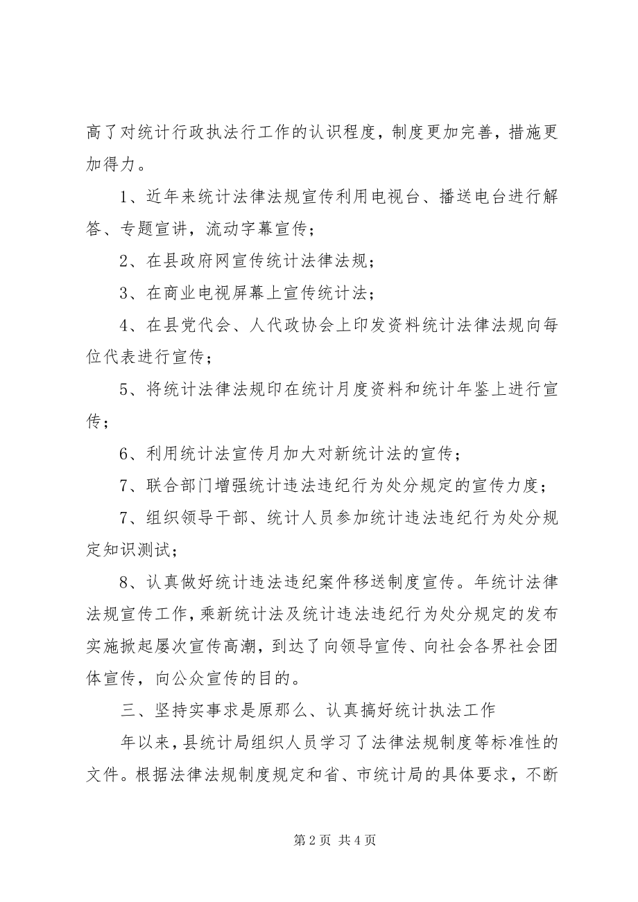 2023年统计局执法工作总结.docx_第2页