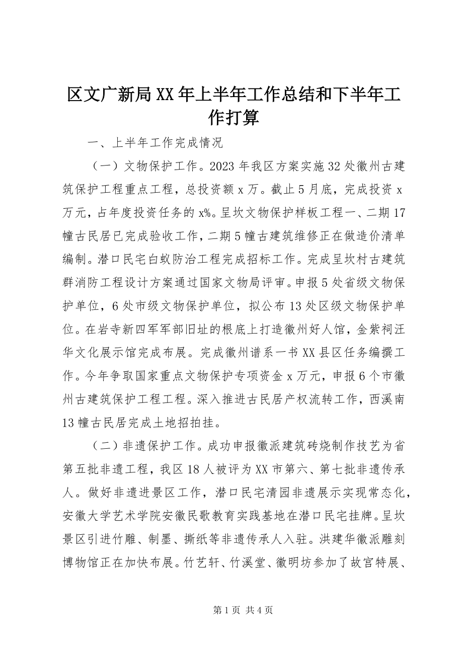 2023年区文广新局上半年工作总结和下半年工作打算.docx_第1页