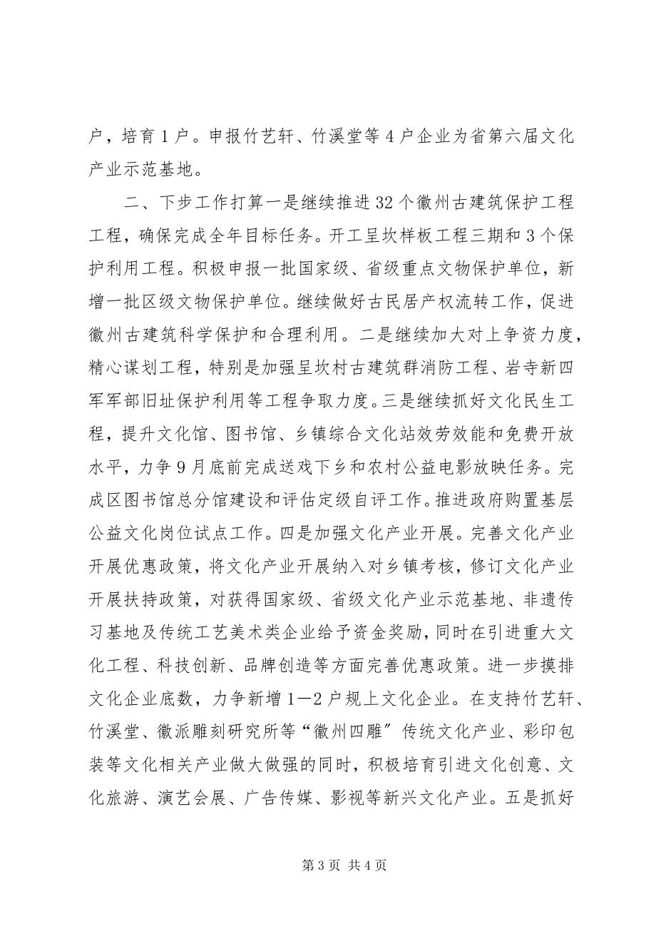 2023年区文广新局上半年工作总结和下半年工作打算.docx_第3页