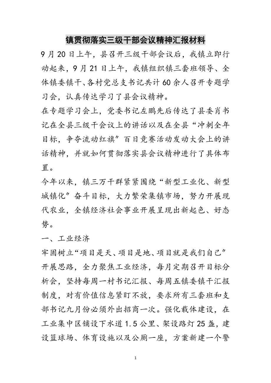 2023年镇贯彻落实三级干部会议精神汇报材料范文.doc_第1页