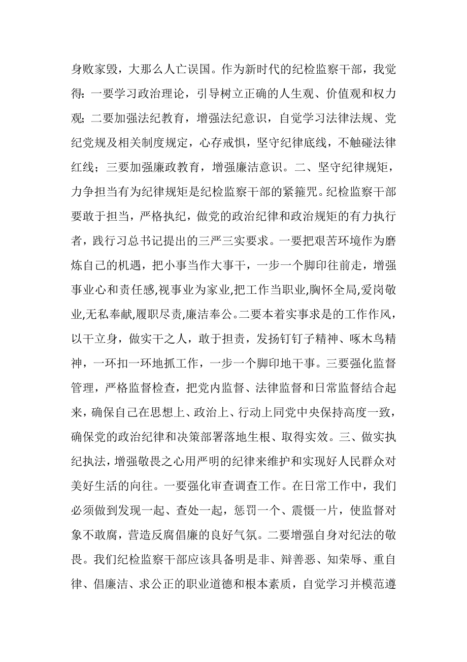 2023年纪检监察干部纪律教育学习月学习心得.doc_第2页