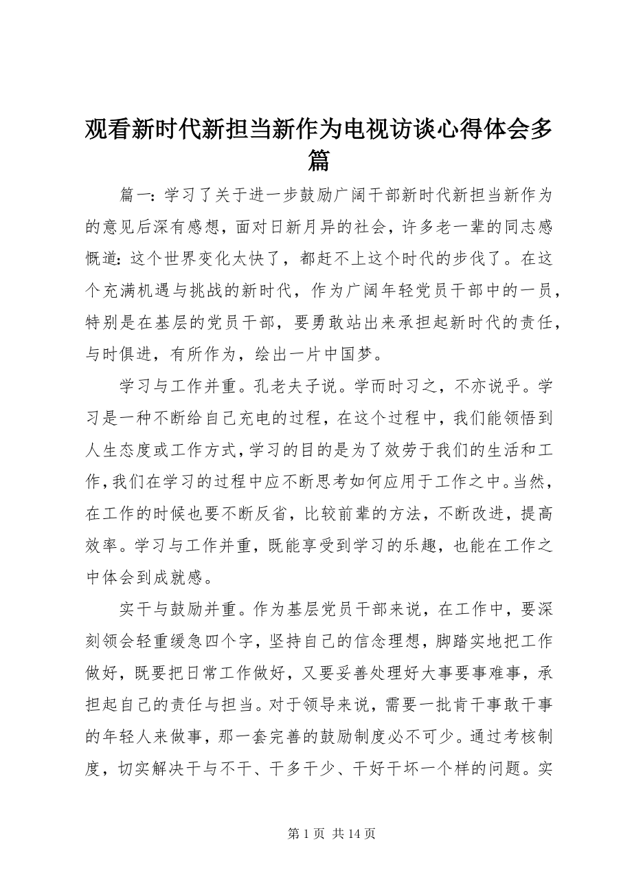 2023年观看新时代新担当新作为电视访谈心得体会多篇.docx_第1页