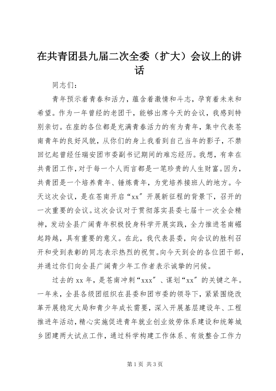 2023年在共青团县九届二次全委会议上的致辞.docx_第1页