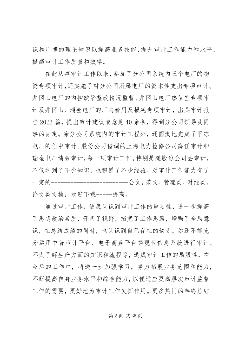 2023年审计员年终总结大全.docx_第2页