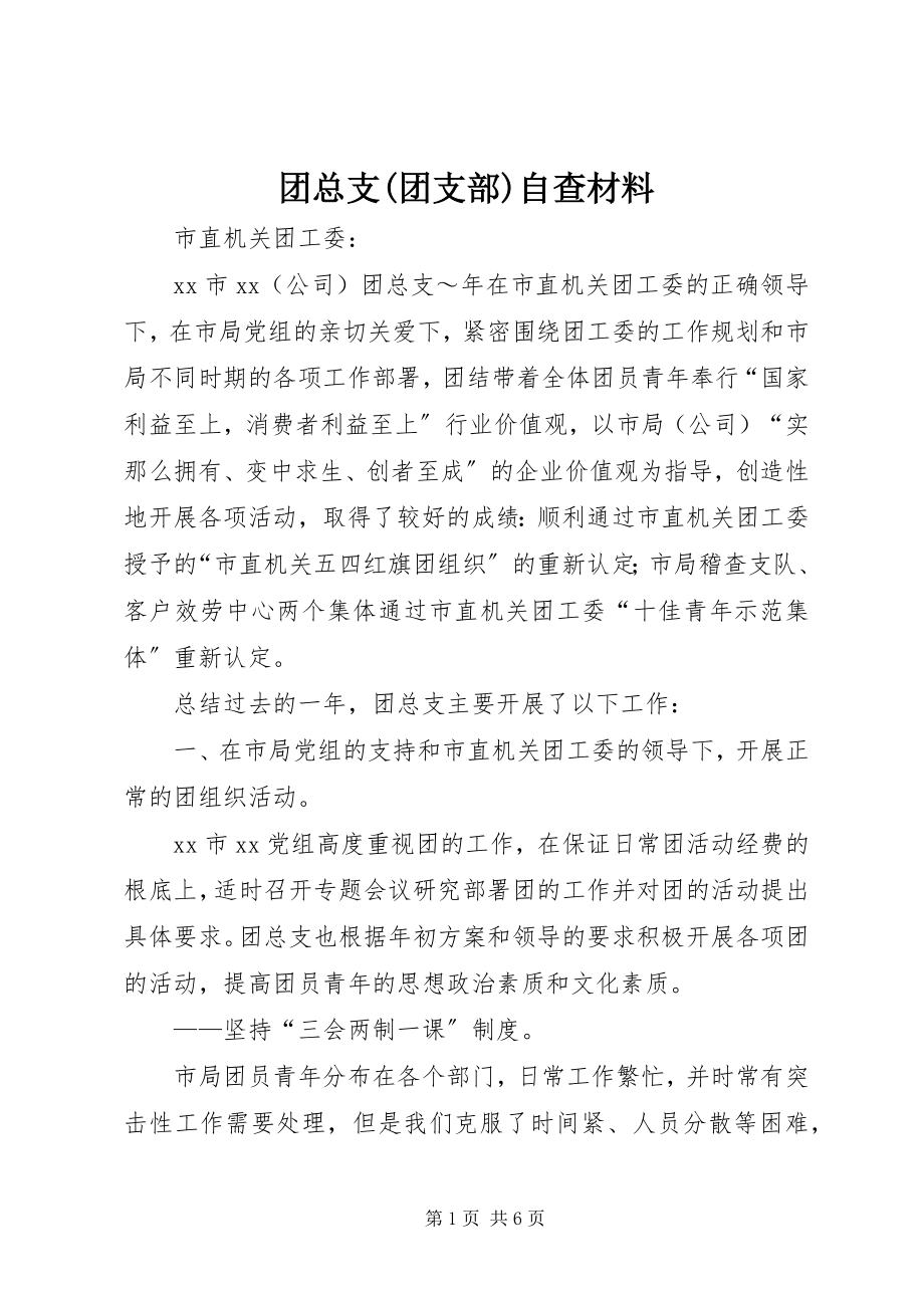 2023年团总支团支部自查材料.docx_第1页