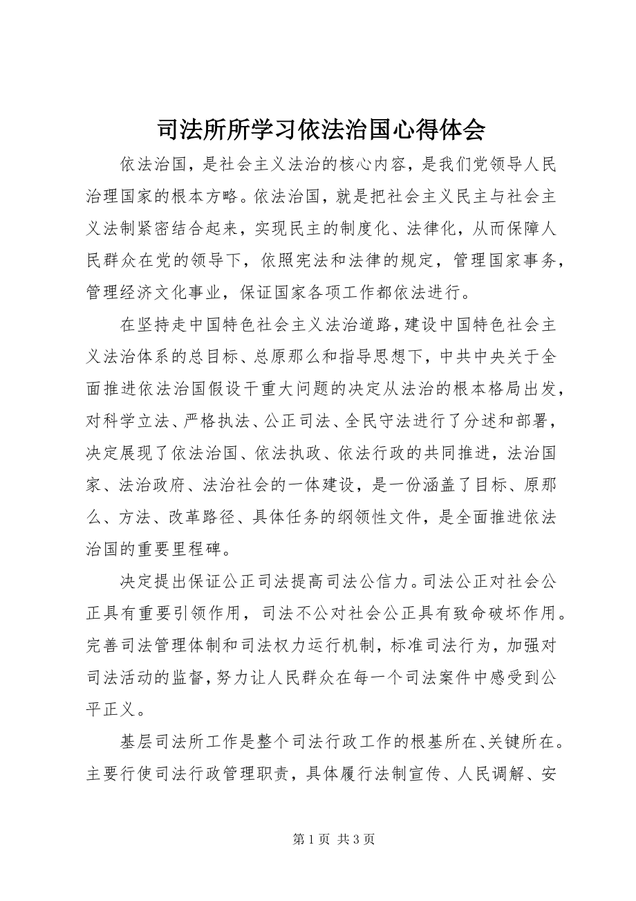 2023年司法所所学习依法治国心得体会.docx_第1页