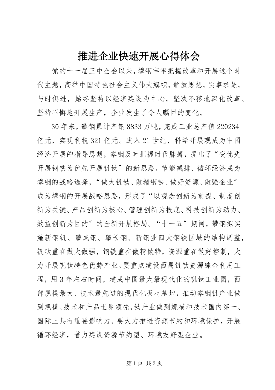 2023年推进企业快速发展心得体会.docx_第1页