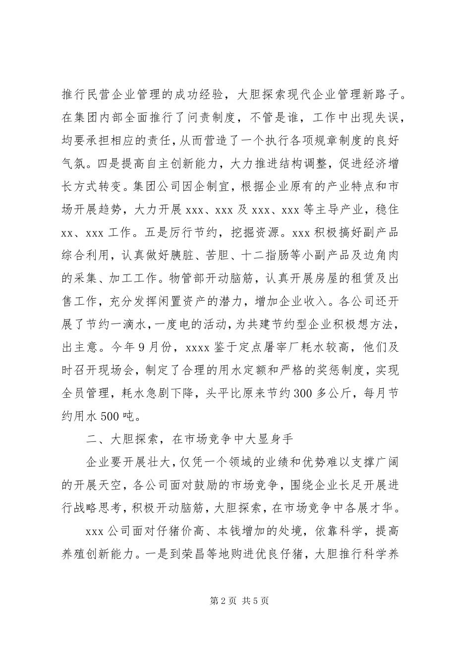 2023年集团企业工作总结.docx_第2页